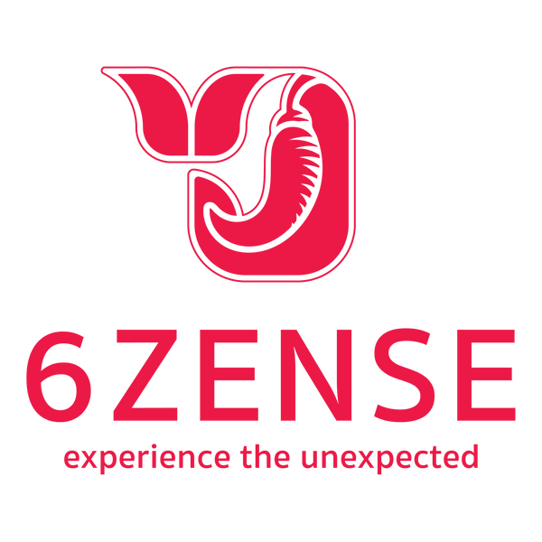 6Zense